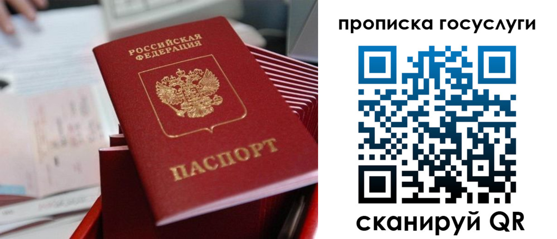 прописка законно в Прохладном